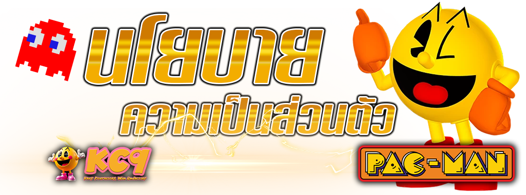 นโยบายความเป็นส่วนตัว
